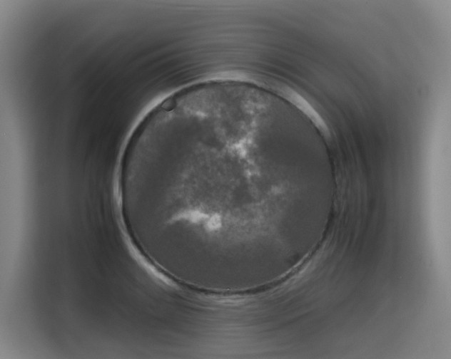 X0000115721084200911191347