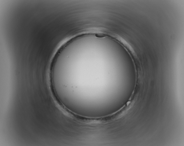 X0000115721085200911191347