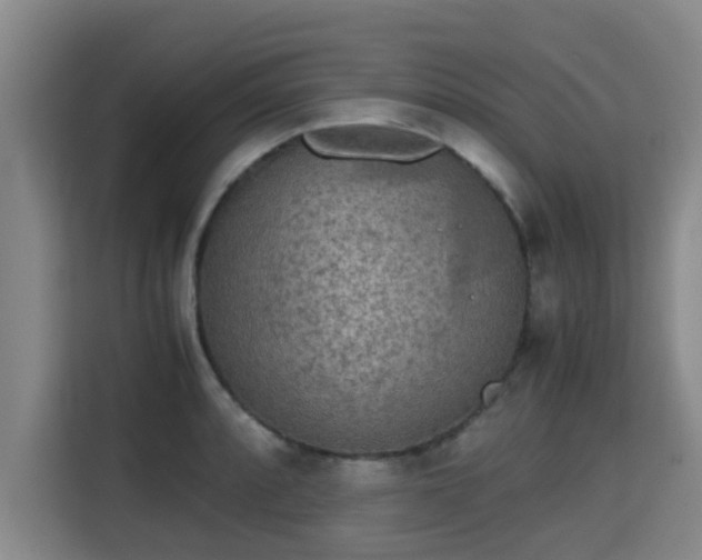 X0000115721088200911191346