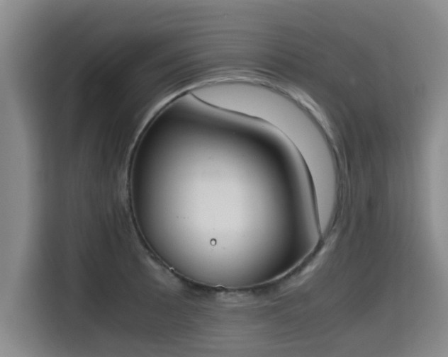 X0000115721089200911191346