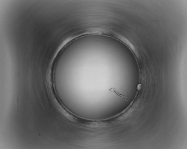 X0000115721091200911191346