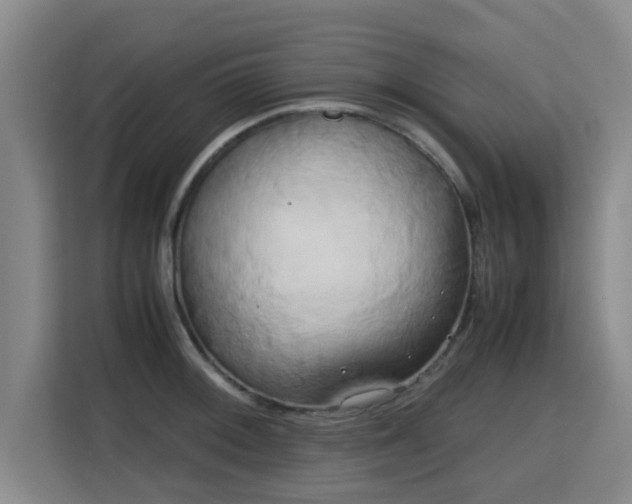 X0000115721092200911191346