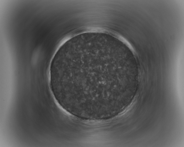 X0000115721095200911191346