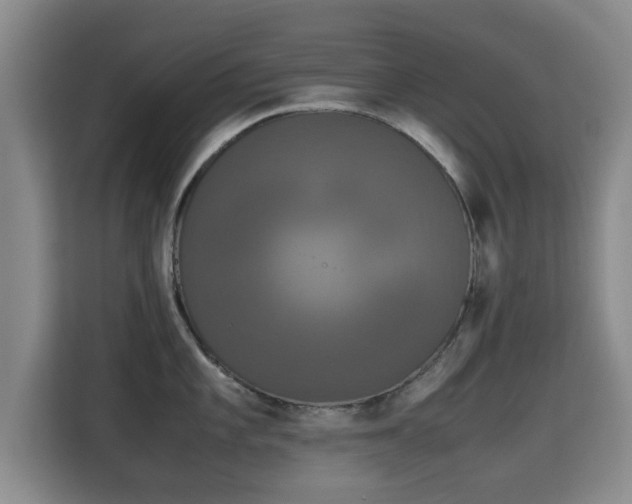 X0000115721101200911191346