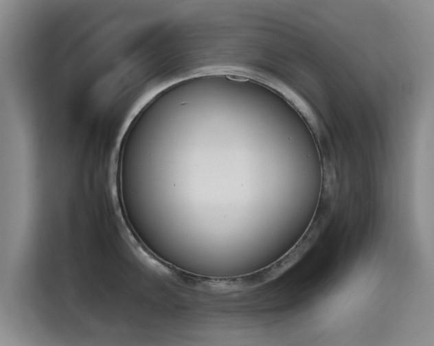 X0000115721102200911191346