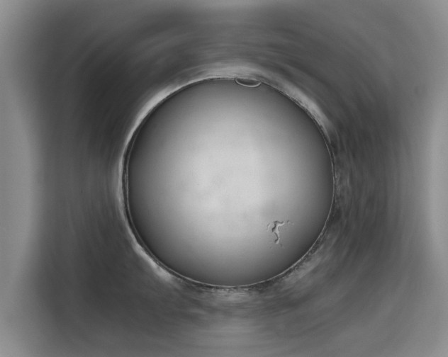 X0000115721103200911191346