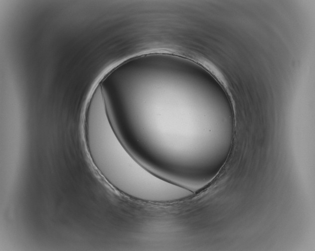 X0000115721104200911191346