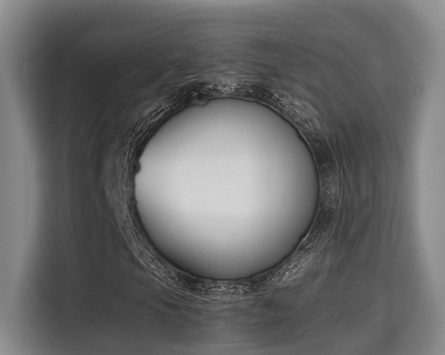 X0000115721105200911191346