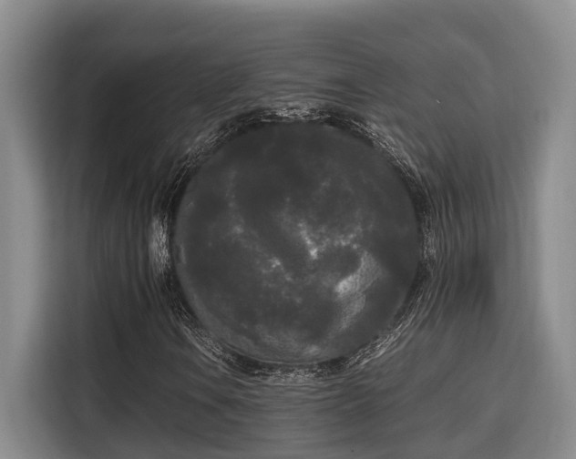 X0000115721106200911191346
