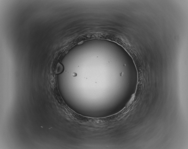 X0000115721109200911191346