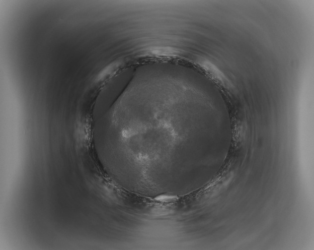 X0000115721110200911191346