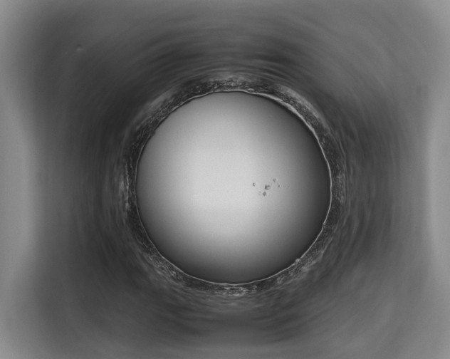 X0000115721111200911191346