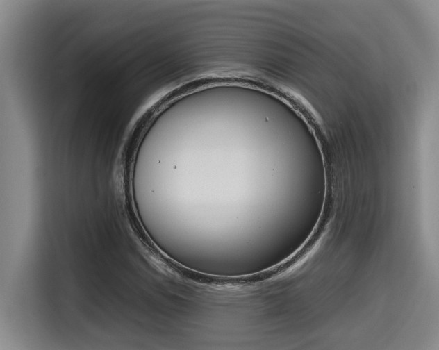 X0000115721114200911191346