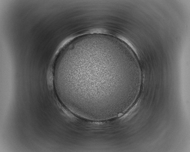 X0000115721115200911191346
