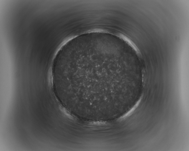 X0000115721117200911191346