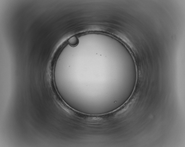 X0000115721119200911191346