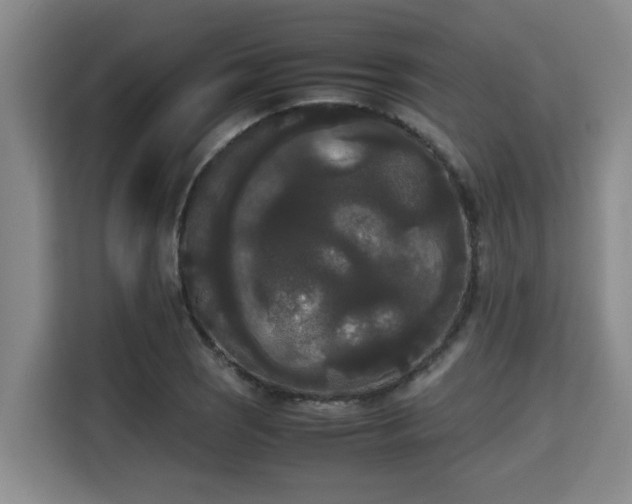 X0000115721121200911191346