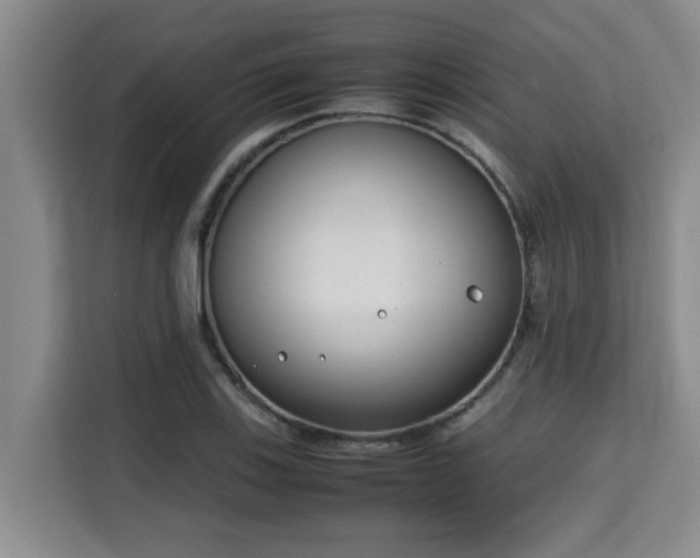 X0000115721123200911191346