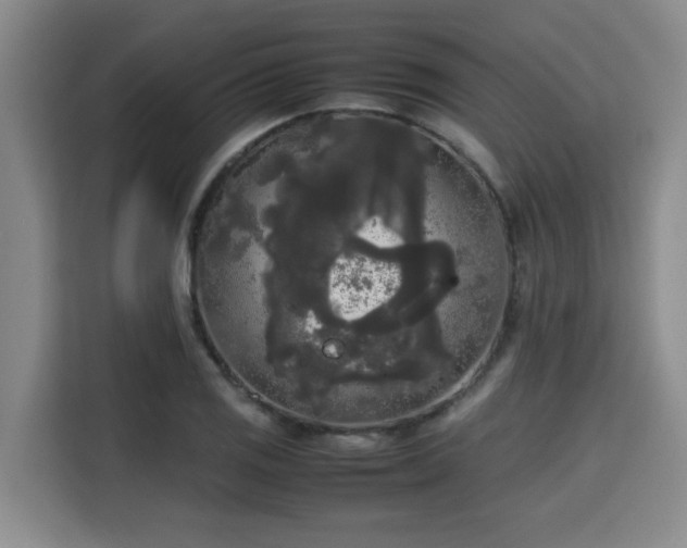 X0000115721125200911191346