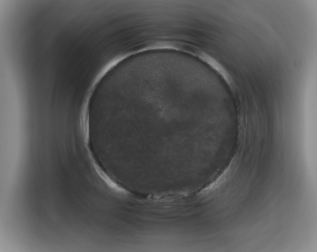 X0000115721127200911191346