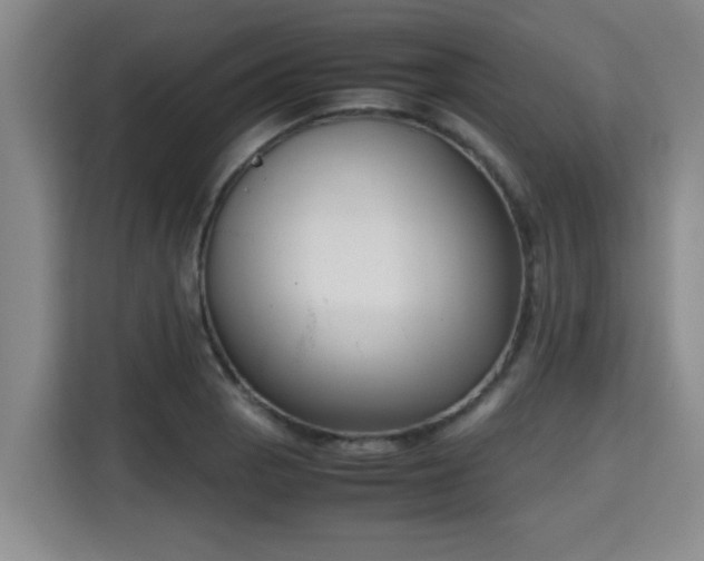 X0000115721129200911191346