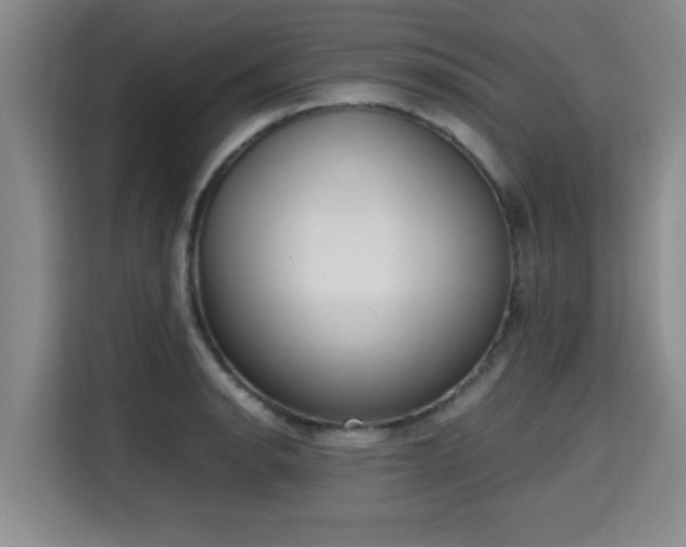 X0000115721134200911191346