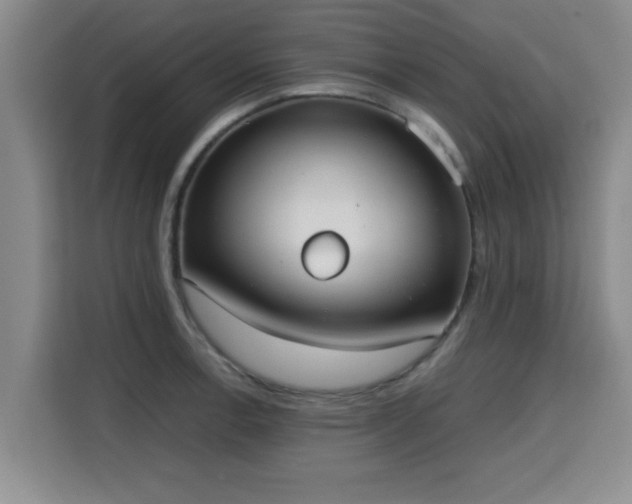 X0000115721138200911191346