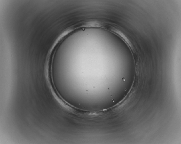 X0000115721139200911191346