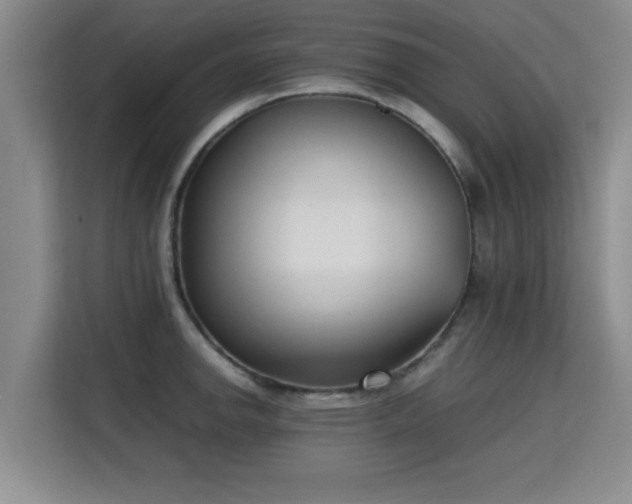 X0000115721142200911191346
