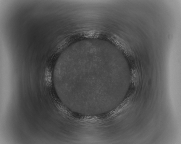X0000115721154200911191346