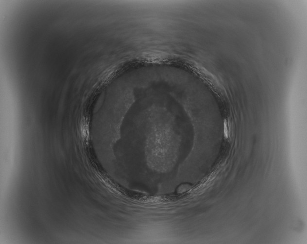 X0000115721155200911191346