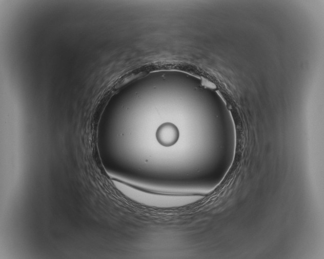 X0000115721157200911191346