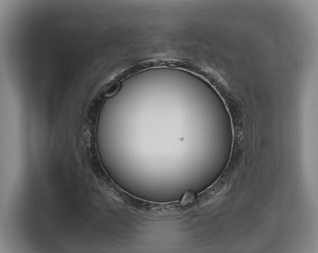 X0000115721159200911191346