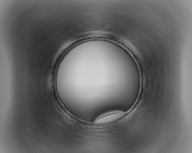 X0000115721164200911191345