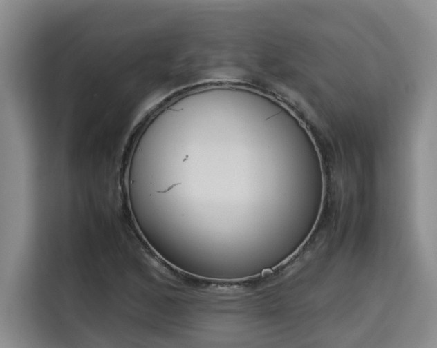 X0000115721168200911191345