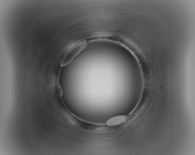 X0000115721169200911191345