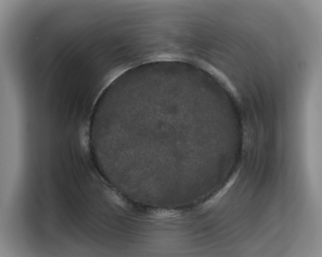 X0000115721170200911191345