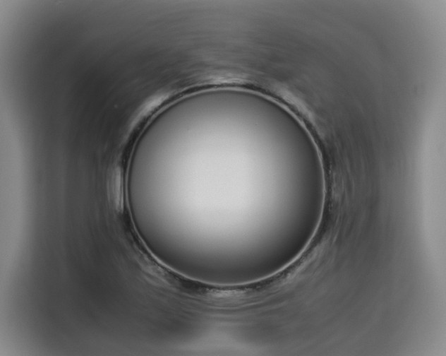 X0000115721171200911191345