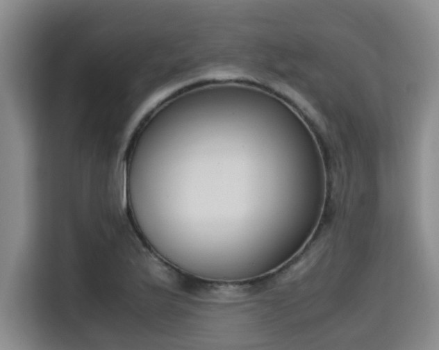 X0000115721175200911191345