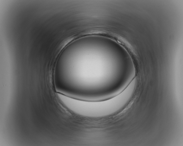 X0000115721177200911191345