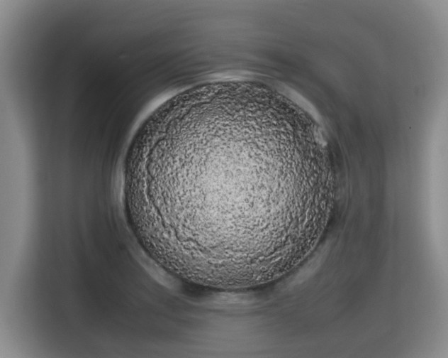X0000115721179200911191345