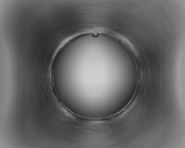 X0000115721184200911191345