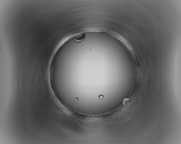 X0000115721187200911191345