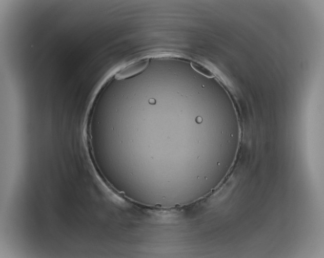 X0000115721189200911191345