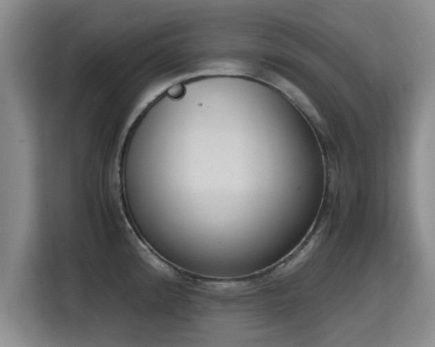 X0000115721192200911191345