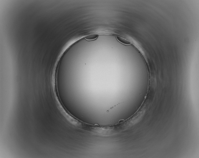 X0000115721195200911191345