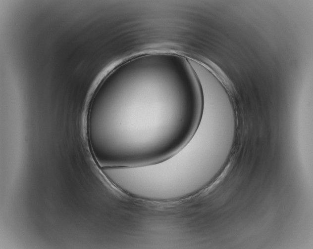 X0000115721196200911191345