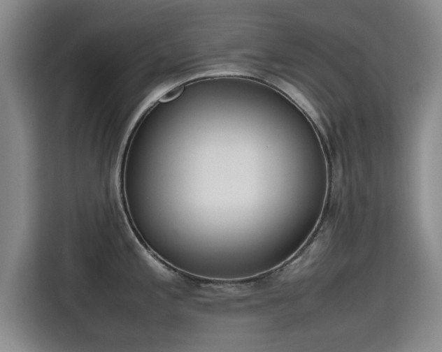 X0000115721197200911191345