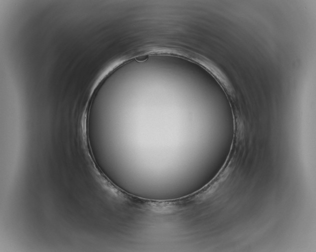 X0000115721198200911191345