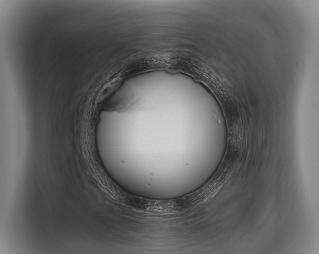 X0000115721201200911191344